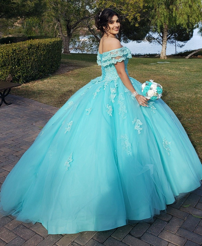 Off The Shoulder Lace Tulle Ball Gown Princess Dress Y3087