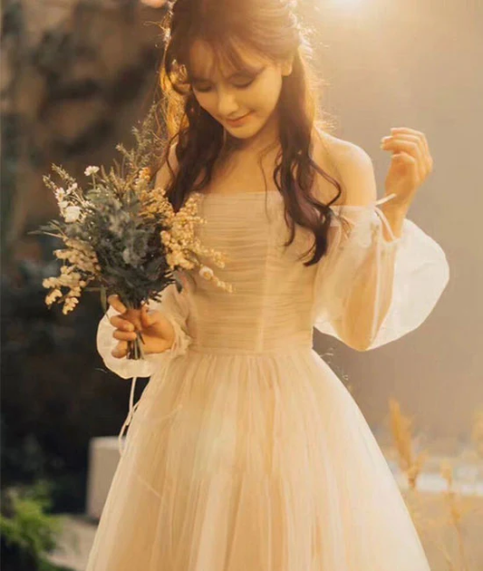 Champagne tulle long prom dress, champagne tulle evening dress Y257